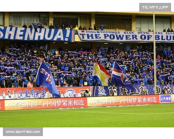 申花外援伤病潮，赛季转折点分析