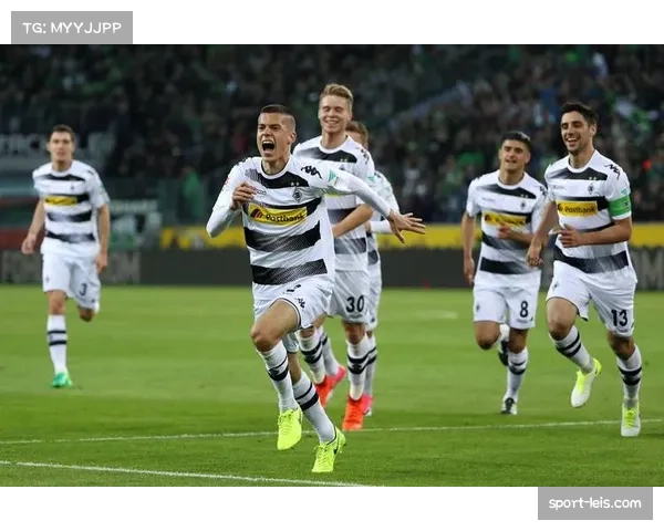 门兴格拉德巴赫vs沃尔夫斯堡，主裁茨瓦尔博士执法